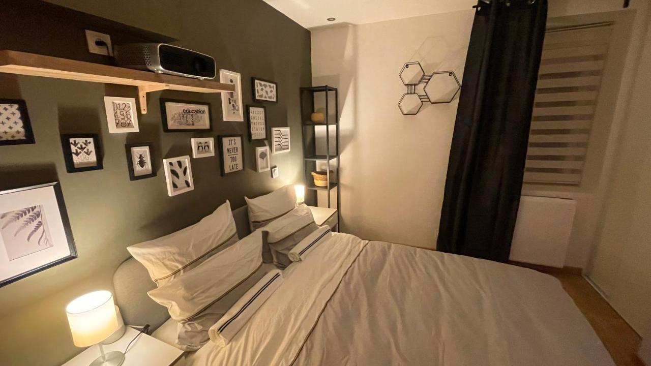 Mille Et Une Nuit, Appartement Classe 3 Etoiles En Rdc Avec Exterieur Et Parking Dole Zewnętrze zdjęcie