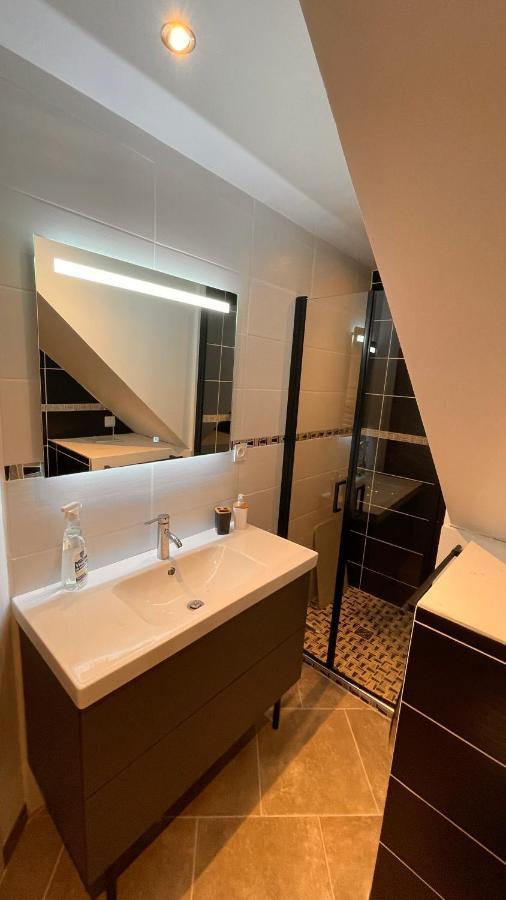 Mille Et Une Nuit, Appartement Classe 3 Etoiles En Rdc Avec Exterieur Et Parking Dole Zewnętrze zdjęcie