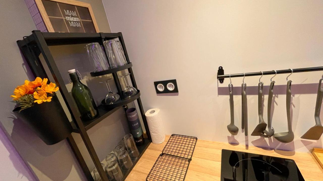 Mille Et Une Nuit, Appartement Classe 3 Etoiles En Rdc Avec Exterieur Et Parking Dole Zewnętrze zdjęcie